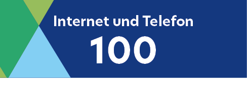 Internet + Telefon 100