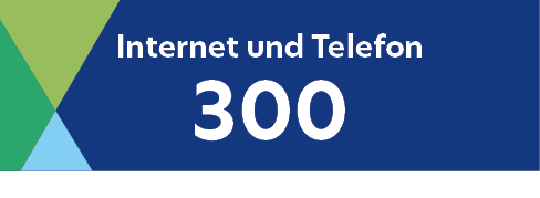 Internet + Telefon 300