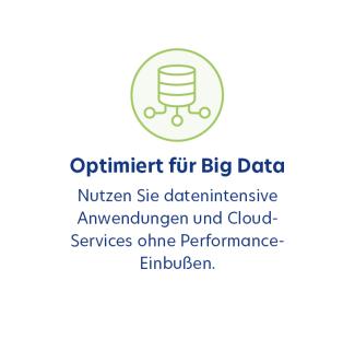 Optimiert für Big Data. Nutzen Sie datenintensive Anwendungen und Cloud-Services ohne Performance-Einbußen.