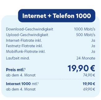 Internet + Telefon 1000