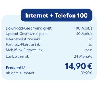 Internet + Telefon 100